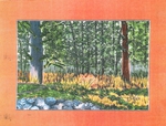 Coastal Forest in Oregon by Deborah Sisco - 2024